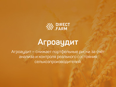 Портфолио. Верстка лэндинга для сервиса Direct.Farm — Агроаудит