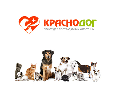 Портфолио. Верстка сайта приюта для животных «Краснодог»